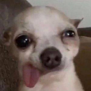 Meet your Posher, Karely